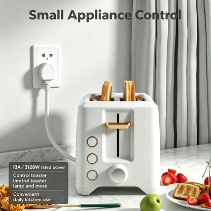 Wireless Remote Control Socket